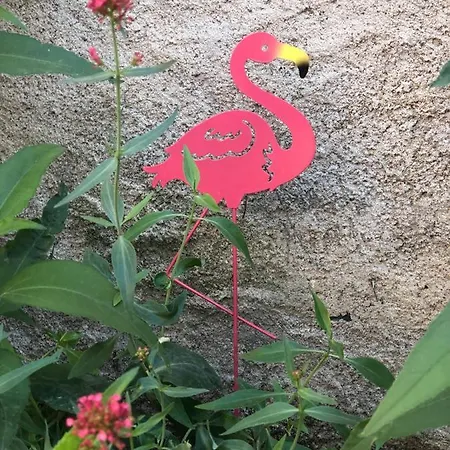 Appartement Les Pieds Dans L'eau Aloha *